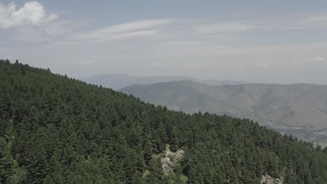 flying over forest in eastern europe