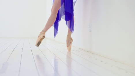 ballet dancer in pointe shoes