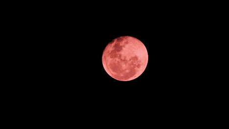 la histórica luna roja de 'sangre' se eleva sobre sydney, australia, el 27 de julio de 2018