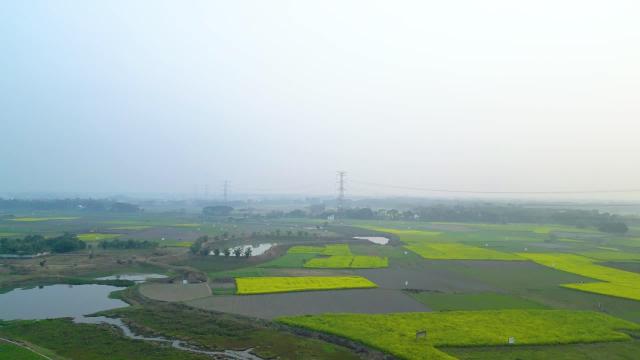 아름다운 노란색 과 초록색 들판 풍경 의 공중 풍경