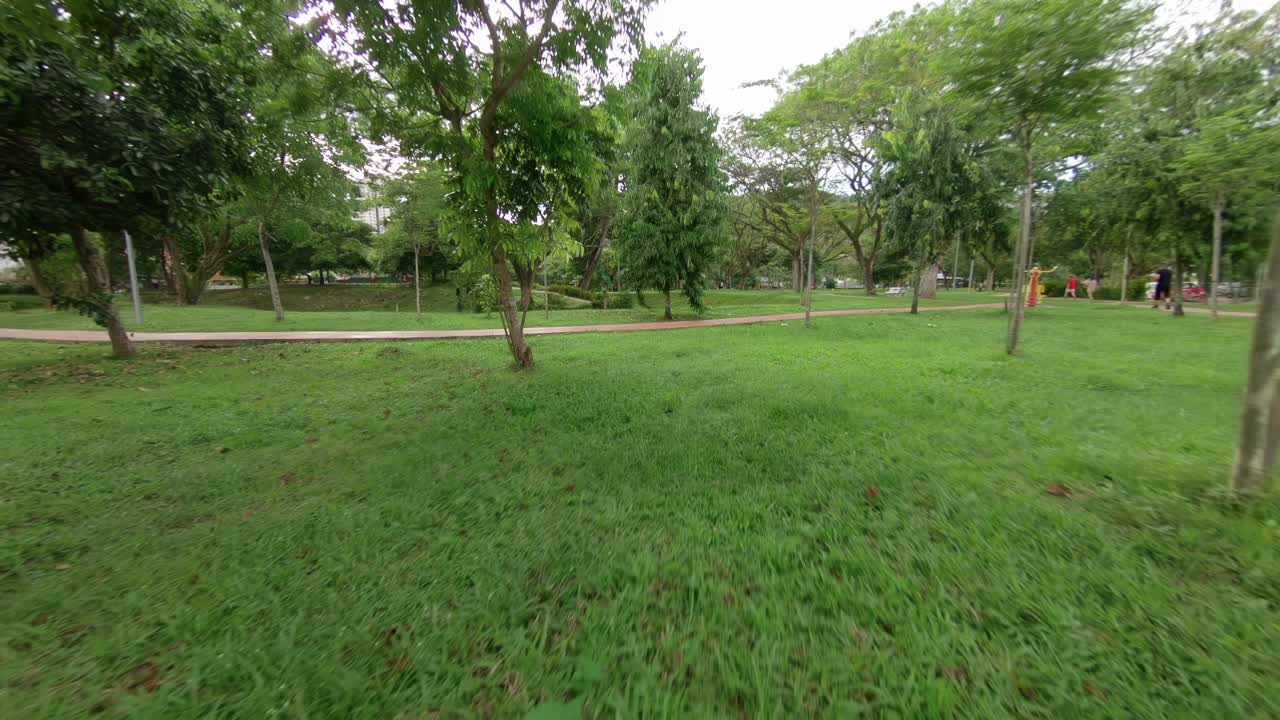 Toma aérea con dron de un parque rodeado de árboles