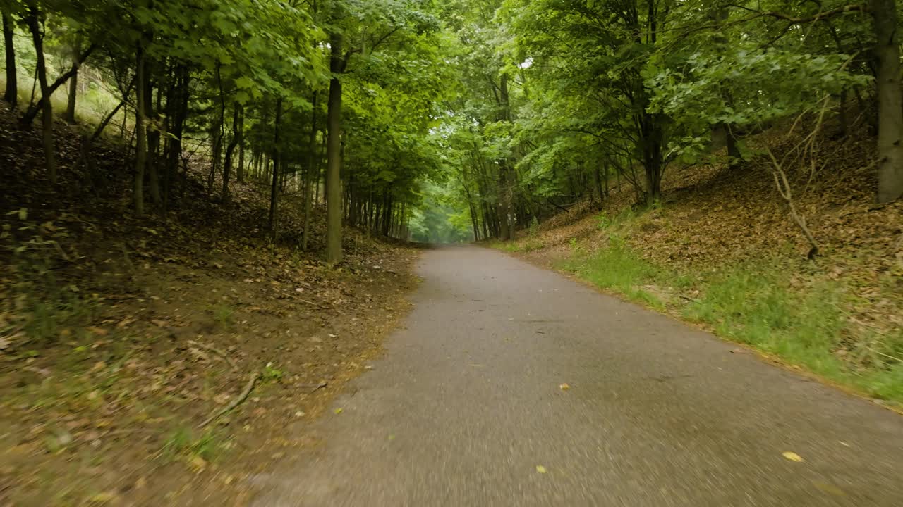 si muove in avanti lungo un sentiero di jogging in una foresta nebbiosa