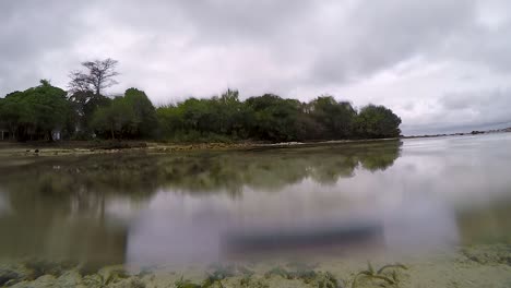 Video-De-60-Fps-De-Una-Estrella-De-Mar-En-El-Fondo-Del-Océano-Con-Vista-A-Una-Isla-Tropical