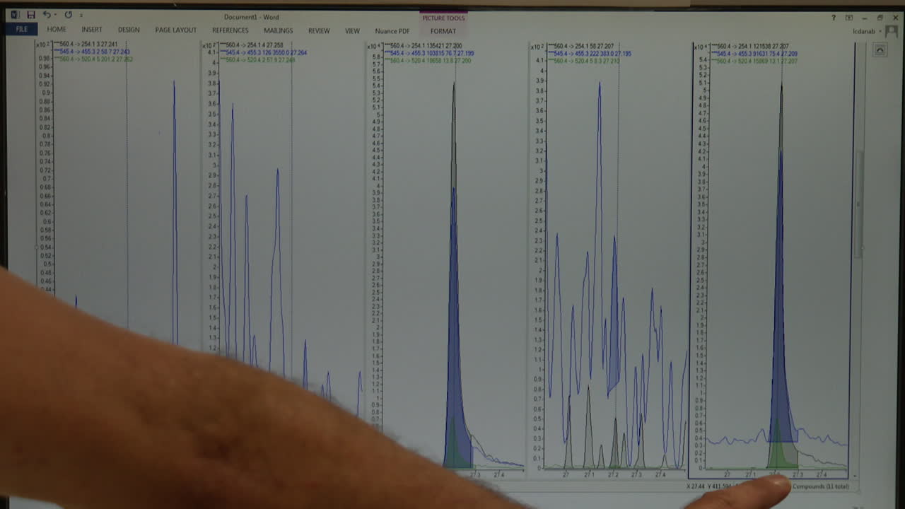 Computer screen displaying chromatograms
