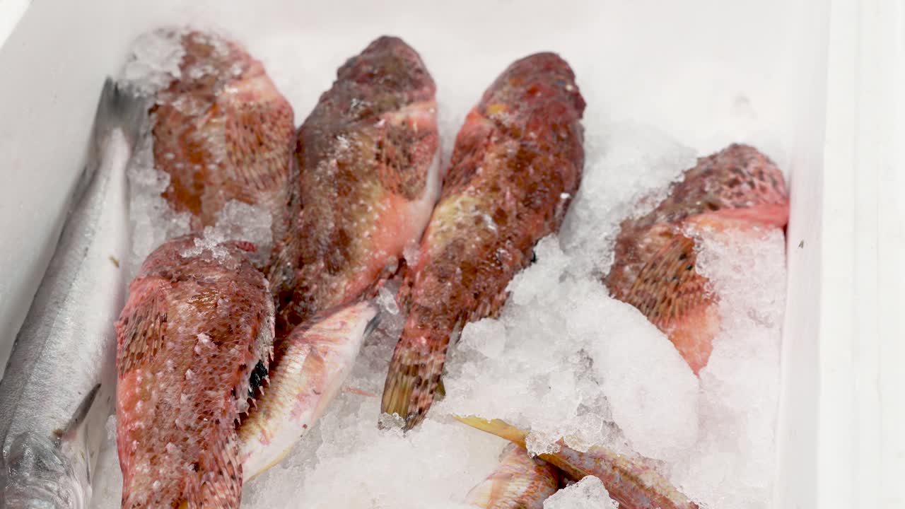 Vibrant display of freshly caught fish on ice at a bustling local market. The early morning sun casts a warm glow, drawing attention from eager shoppers looking for the day’s catch