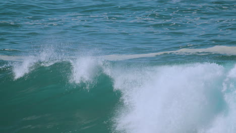 california otter in floating in surf at big sur, california