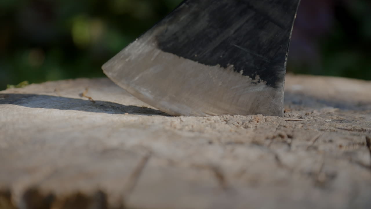 A man drives an axe into a tree stump