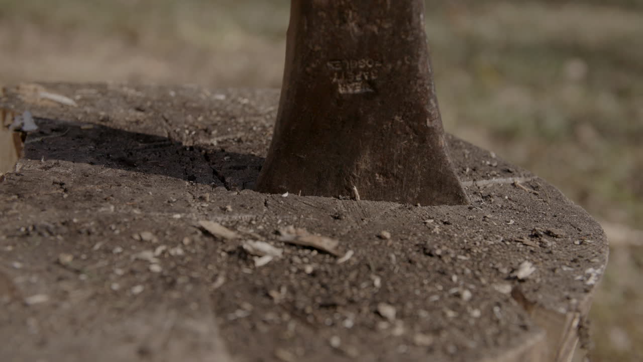 cerrar imágenes macro de la cabeza de un hacha clavada en un tronco con escombros volando