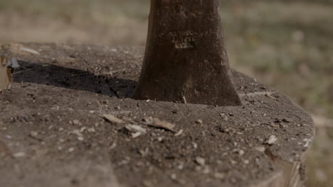 Close-up-macro-footage-of-the-head-of-an-axe-sticking-into-a-log-with-debris-flying