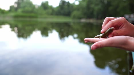 fish in woman hand. woman carrying small fish in his hand against water