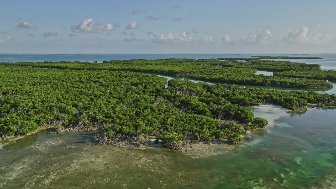 key west florida aerial v28 cinematic drone flyover y alrededor de los canales de barro que capturan la isla cubierta de exuberantes manglares bosques con extensos sistemas de raíces - filmado con mavic 3 cine - febrero 2023
