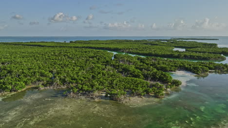 key west florida aerial v28 cinematic drone flyover and around mud keys channels capturing island covered in lush mangroves forests with extensive root systems - shot with mavic 3 cine - february 2023