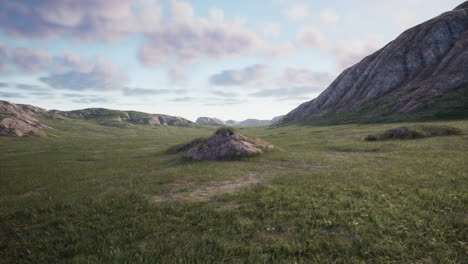 a wide shot of a grassy valley with mountains in the background