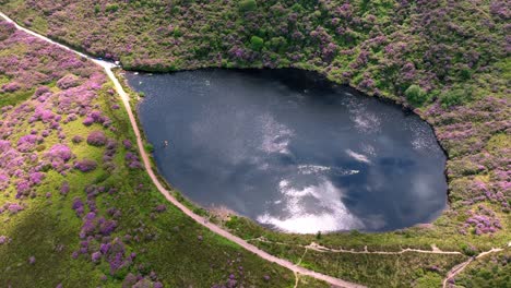irlanda lugares épicos paisaje drone bahía lough alto en las montañas knockmealdown un alboroto de colores de verano en una tarde soleada
