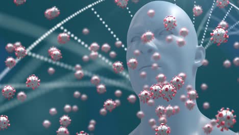 Células-Covid-19-Y-Estructura-De-Adn-Contra-Modelo-De-Cabeza-Humana