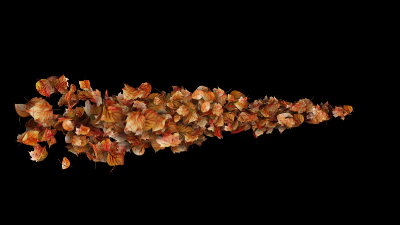 Autumn Leaves Transition on black background - Leaf Particles Reveal Element