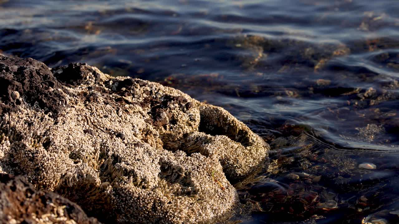 Onde che si infrangono dolcemente su una costa rocciosa