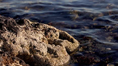 waves gently crashing on rocky shore