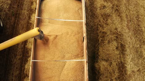 agricultural machines working in farmland during harvesting