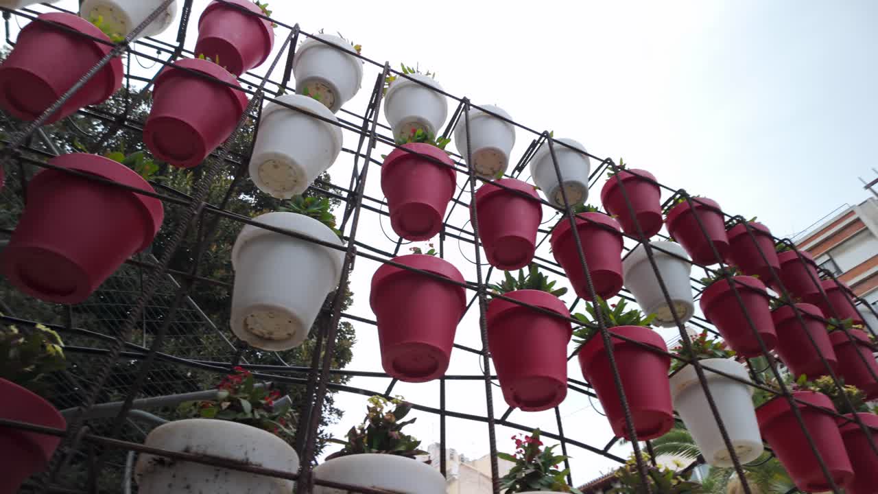 Røde og hvite blomsterpotter henger på en metallkonstruksjon i Murcia, Spania. Hagedekorasjon, urban landskapsforming.