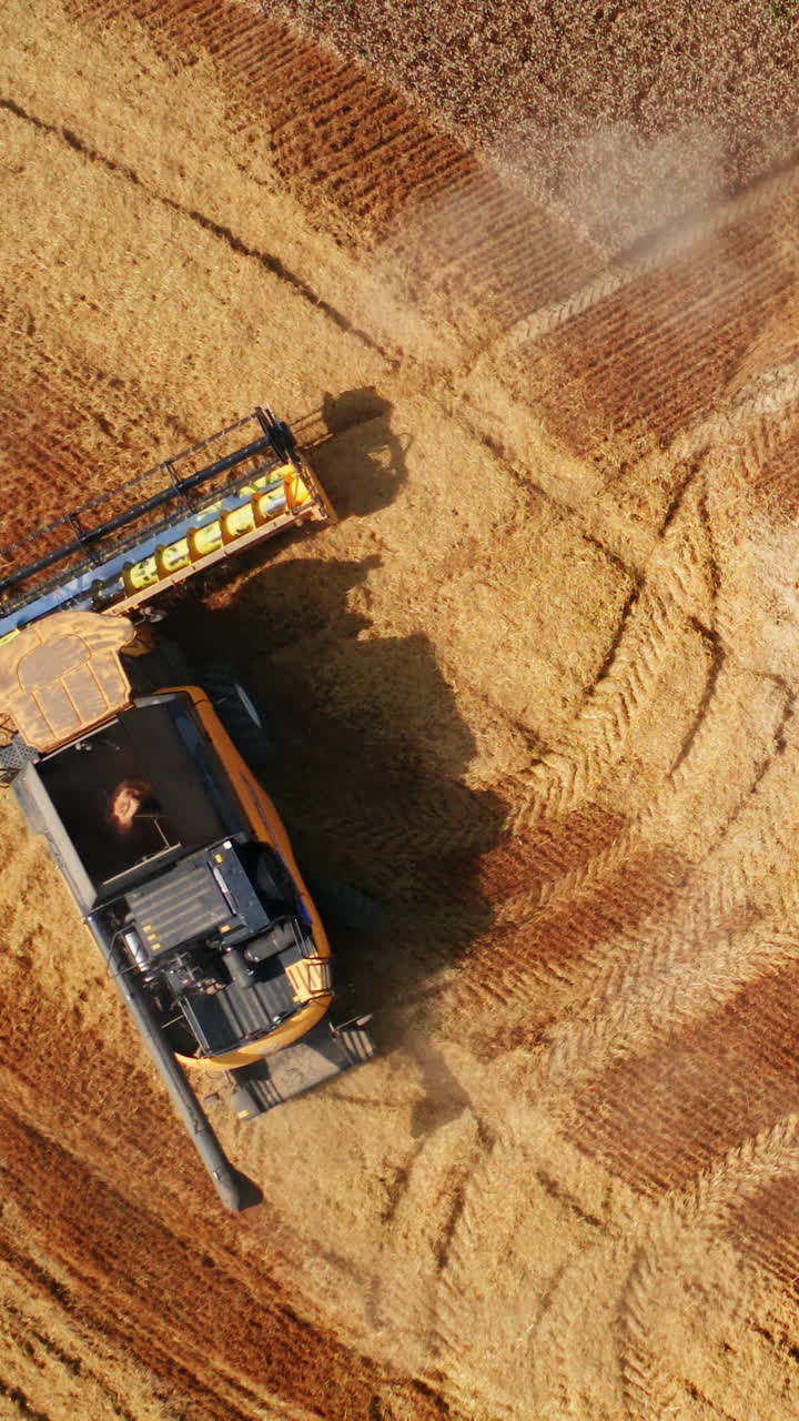 Powerful modern combine making turn in the field of wheat. Big machine leaving the curve trail in plantation. Aerial footage. Vertical video