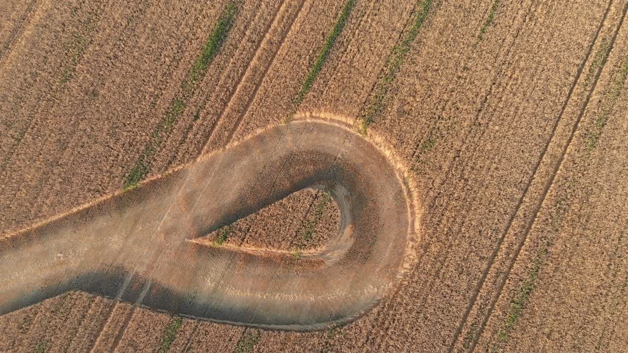 rastro de la cosechadora en el campo de trigo en forma de bucle, vista aérea