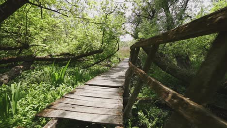 Roundabout-perspective-view-from-an-abandoned-nature-trail-place-and-its-environment