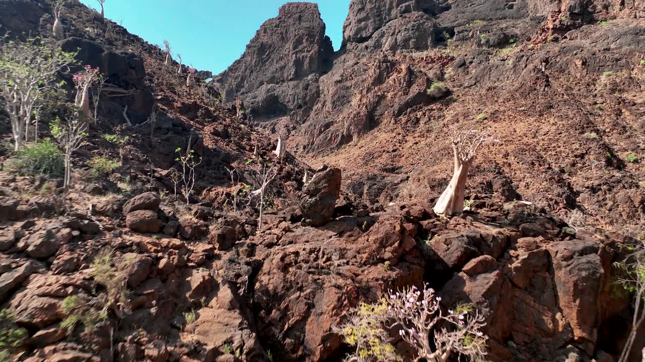 예멘의 소코트라 섬에 있는 와디 디르호르 협곡 - 드론 촬영