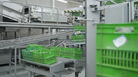 Avocado-Verpackungshaus-Technik-3