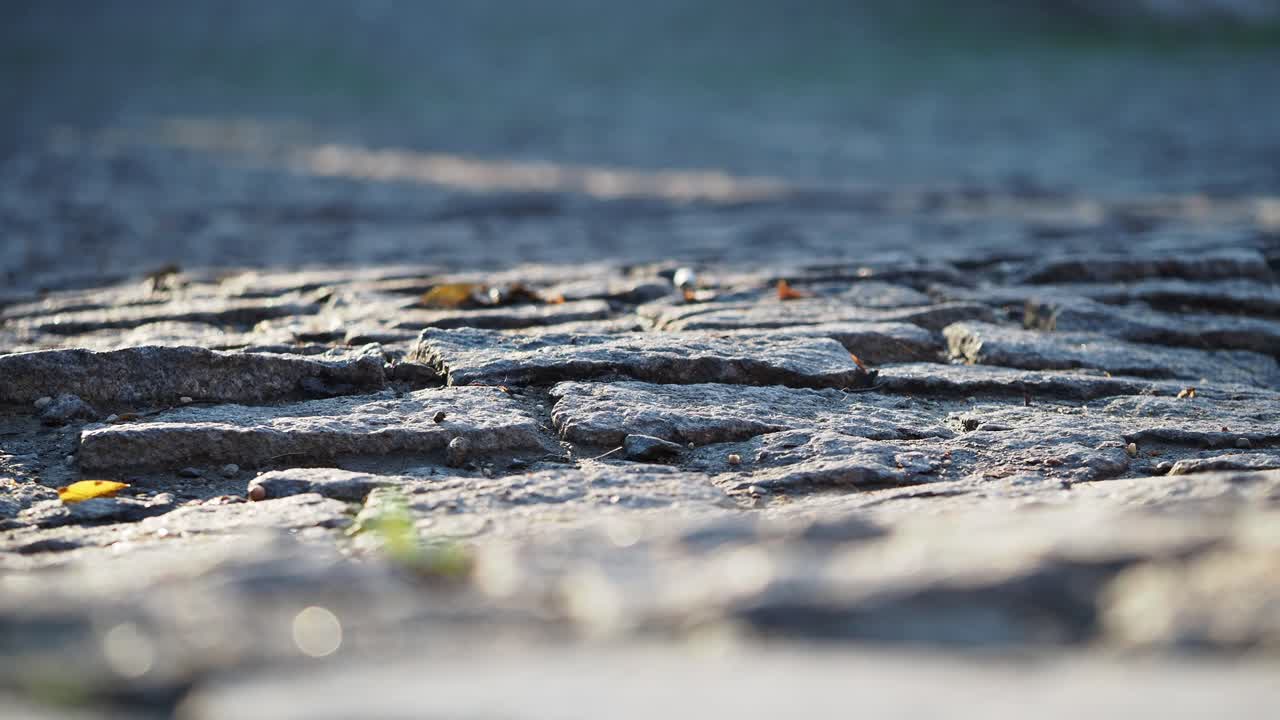 Close-up view of cobblestone pavement