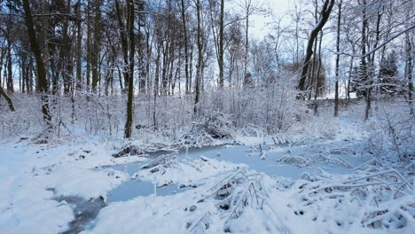 Kleiner-Gefrorener-Teich-Mitten-Im-Wald