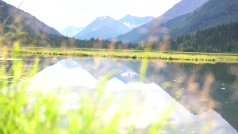 reflection on crystal clear lake