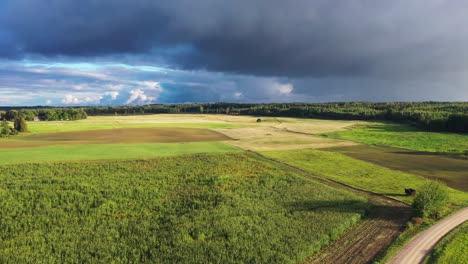 agricultural fields with stormy weather threatening rain, aerial landing down