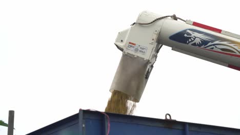 close up shot of a combine harvester unloading rice crops into the truck, ready to be transported to warehouse, douliu city, yunlin county, taiwan