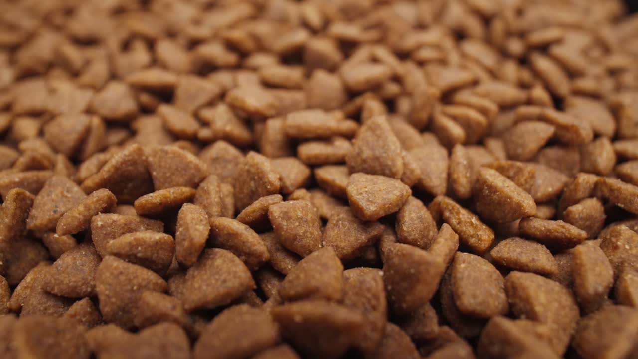 gránulos de alimento seco y crujiente para mascotas