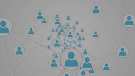 animación de la red de conexiones con los iconos de las personas
