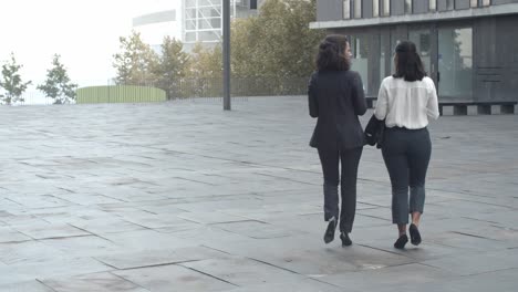 Back-view-of-brunette-businesswomen-walking-outdoors-and-talking