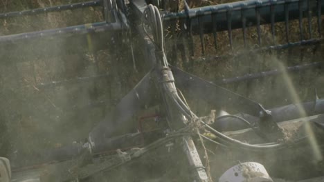 Combine-harvester-harvesting-organic-soybeans-on-sunny-day-slow-motion