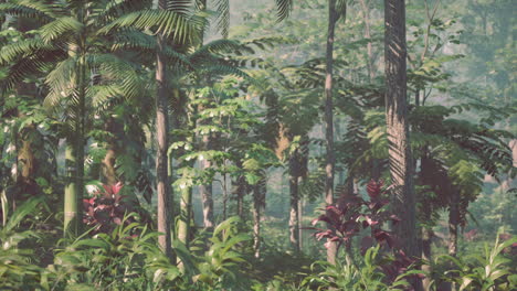 lush tropical rainforest