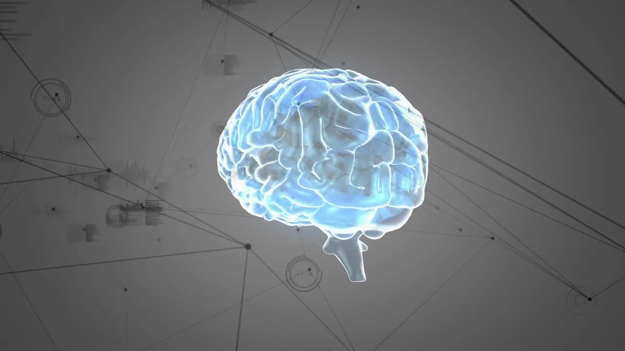 디지털 뇌와 그래프와 함께 비대칭적인 선