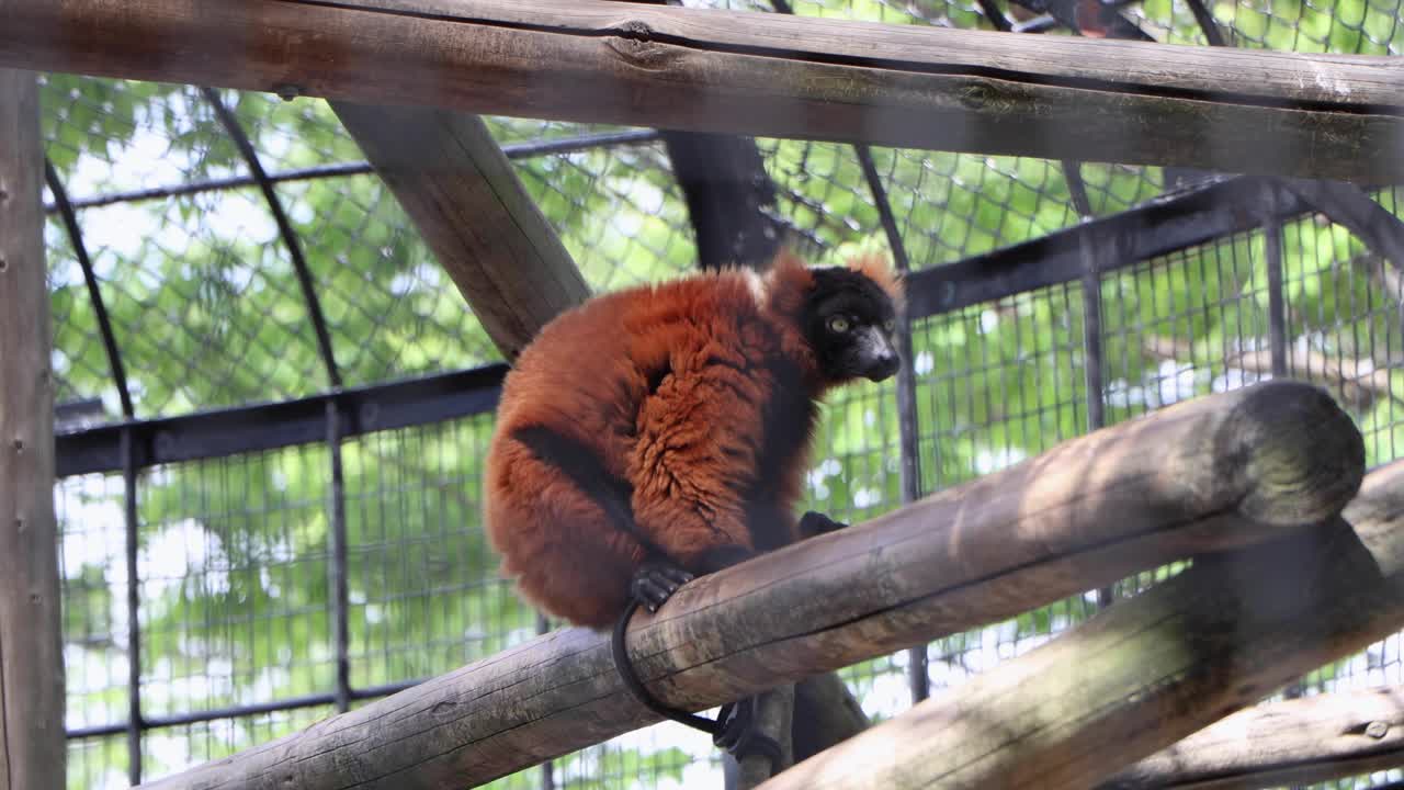 요코하마 최고의 전망