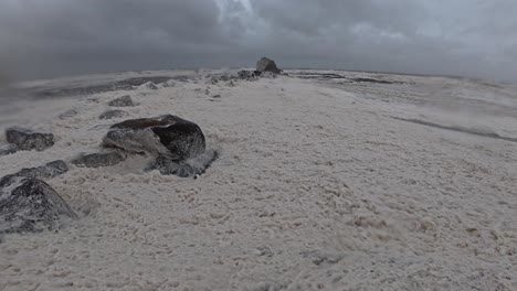 ocean foam blown by strong wind at currumbin beach. cyclone alfred in queensland, australia. static shot
