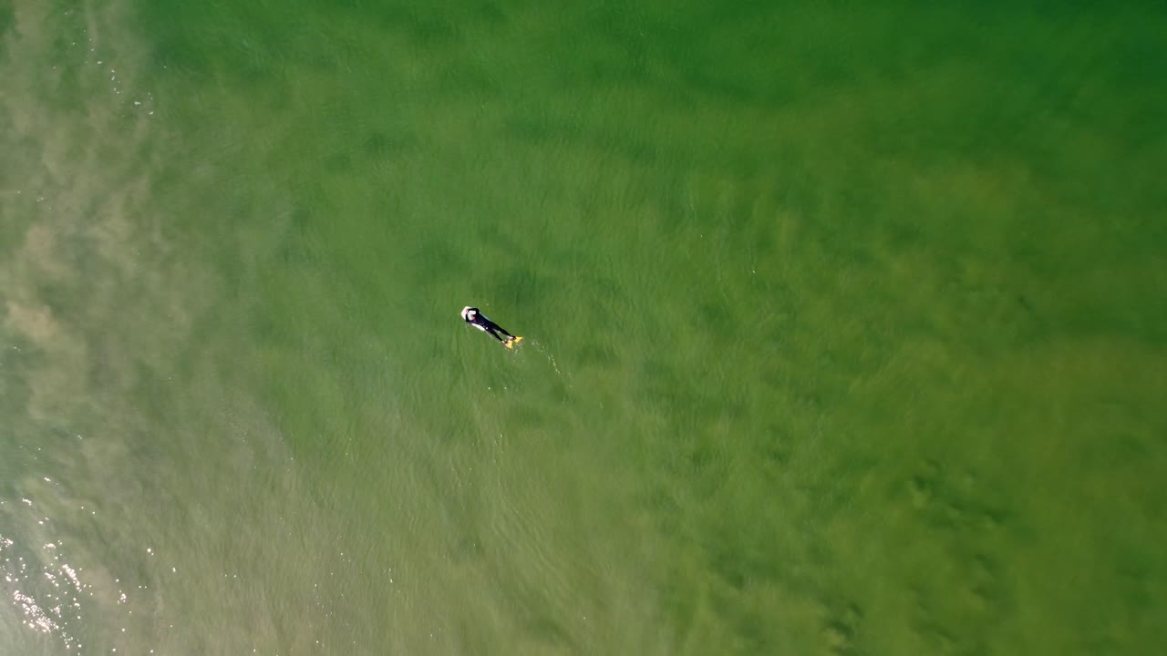 바다 모래톱 라인업 서핑 여행 관광 풍경 맑은 바다 입구 nsw 중앙 해안 4k에서 대기 보디 보더의 드론 공중 샷