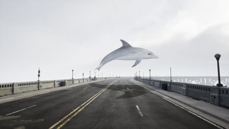 flying dolphin over a misty road and bridge