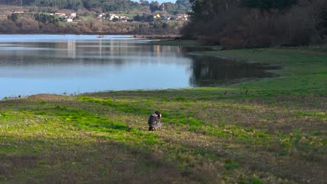 Male-Photographer-Taking-Nature-Photos-Near-The-Lake---Aerial-Drone-Shot