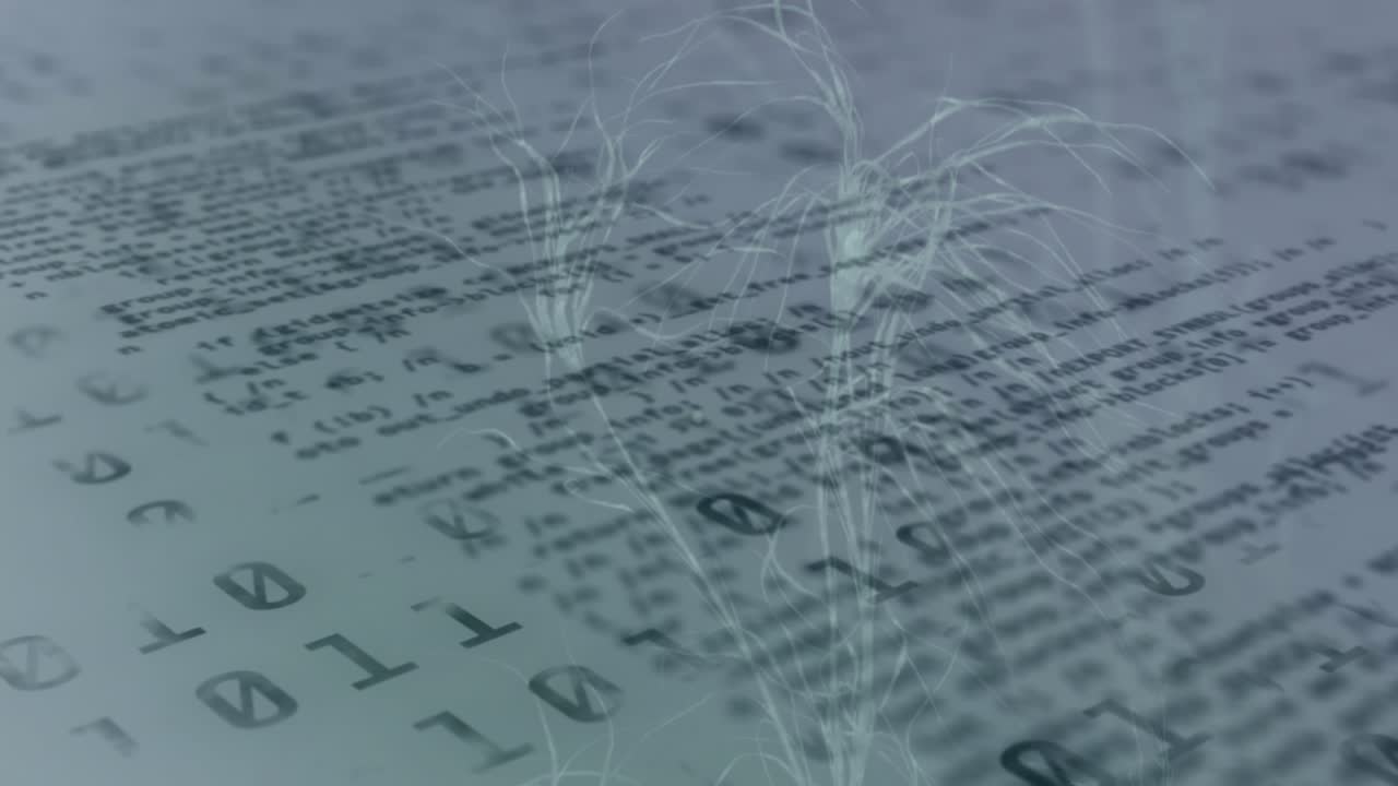 Animation of globe, binary coding with networks of connections