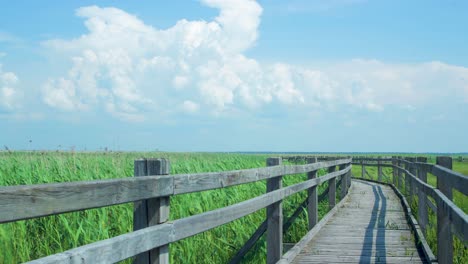 Time-lapse-of-beautiful-white-fast-moving-clouds-and-sky-at-footbridge-path-at-lake-Liepaja-reed-field-in-sunny-summer-day,-wide-shot