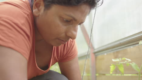 autosuficiencia - una mujer india plantando un tomate, slomo