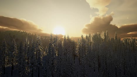 Winter-Landscape-on-a-Sunset