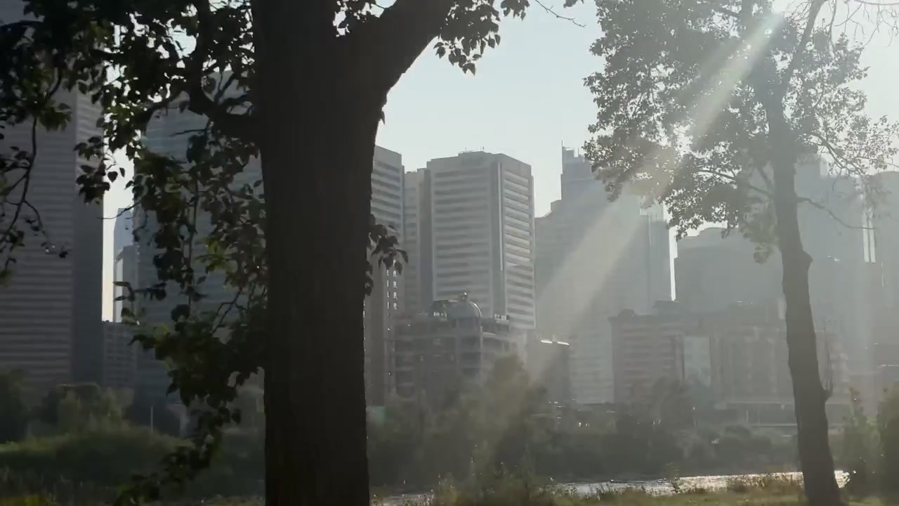 Arranha-céus da cidade através do parque com movimento de gimbal
